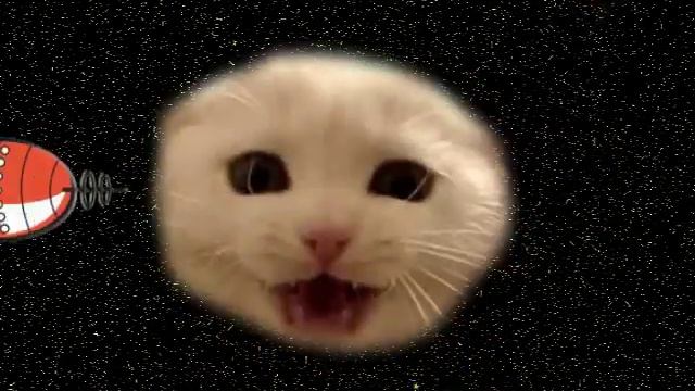 cat planet 2 смотреть онлайн