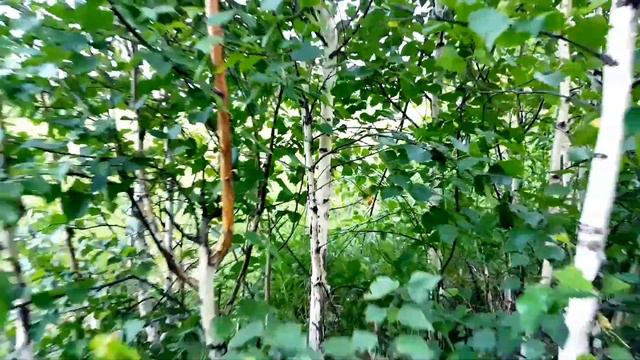 Река времени смотреть онлайн