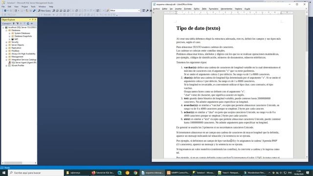 Tipo de dato (texto) смотреть онлайн