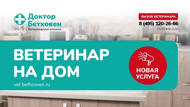 Rutube_account_13347517