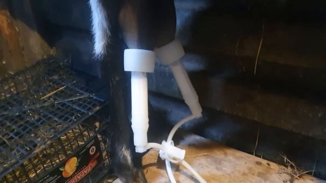 Обзор доильных аппаратов для коз. смотреть онлайн