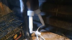 Обзор доильных аппаратов для коз.