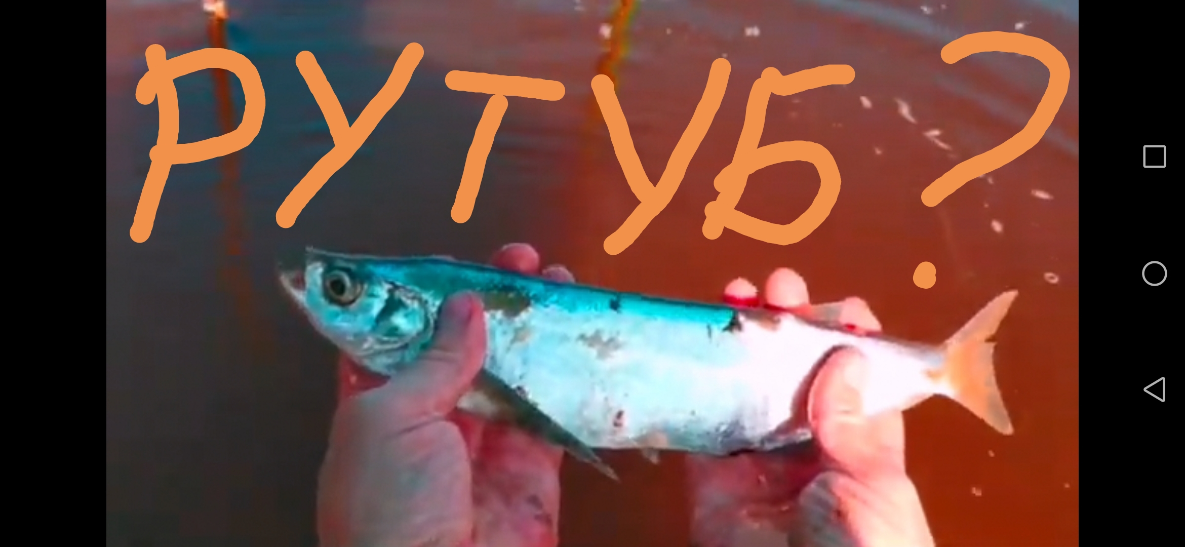 Замена Ютубу, видео обзор Рутуба.