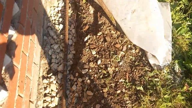 Ремонт отмостки  к ленточному фунтдаменту