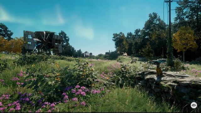 Far Cry New Dawn - THE BEST BOW IN THE GAME (Far Cry New Dawn Free Roam) #24 смотреть онлайн