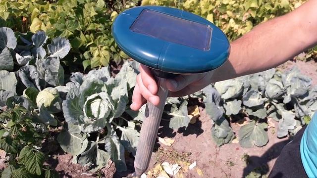 Как избавиться от крота? Отпугиватель крота на солнечной батарее. ПОЛЕЗНЫЕ СОВЕТЫ MIX смотреть онлайн