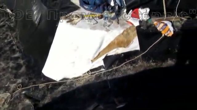 басейн смотреть онлайн