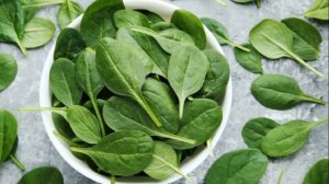 Выращивание Шпината в открытом грунте как бизнес идея