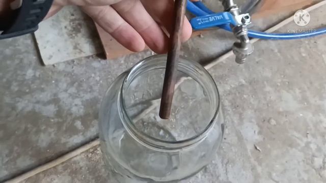 Перегон яблочного СС на колонне 1.5" смотреть онлайн