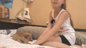 Мне купили собаку ! Её порода английский кокер спаниель! ❤???? ? ??