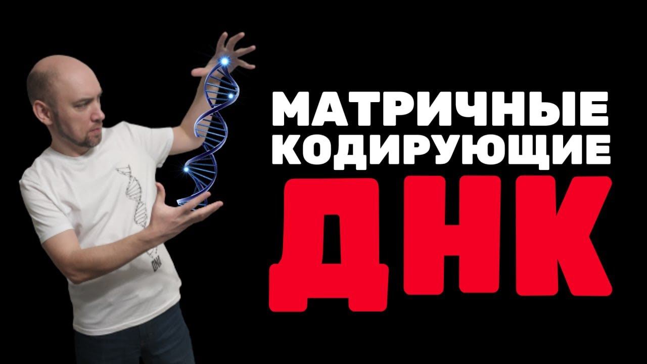 Что такое кодирующая и матричная ДНК? Душкин объяснит смотреть онлайн