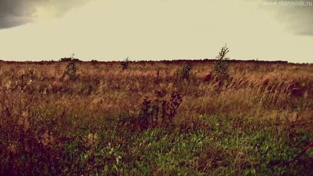 Ко и О #66 ХРОНИКИ ЗАБЫТЫХ ВРЕМЁН КЛАДОИСКАТЕЛИ смотреть онлайн