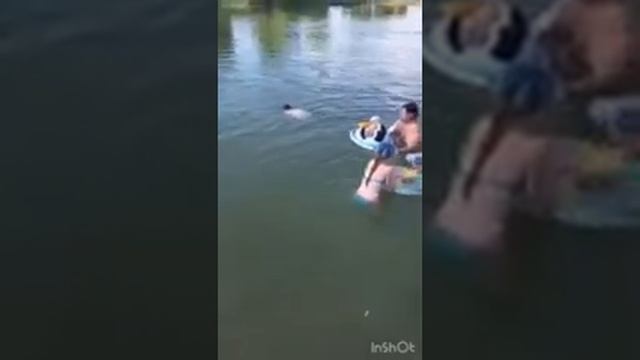 Алтайский край.Завьялово.Отпуск. смотреть онлайн