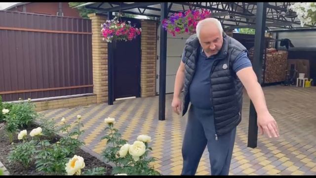 Пионы. Приём заказов. Pastelegance. Sarah Bernhardt. Duchesse de Nemours | ЛУКОГОН смотреть онлайн