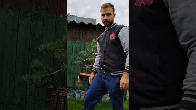 sosna pospolita watereri. pinus silvestris watereri. first styling смотреть онлайн