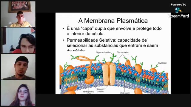 Biologia - Citologia смотреть онлайн