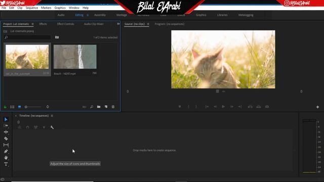 FREE LUT Pack | 5 Free CINEMATIC LUTs | Premiere Pro - Final Cut - Sony Vegas #1 смотреть онлайн