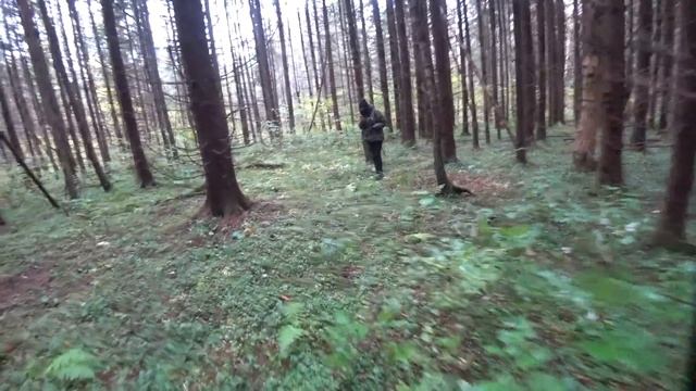 Коп в осеннем лесу большой компанией. Находки есть. смотреть онлайн