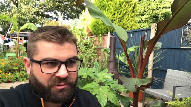 🌴 WHEN DO I BRING MY TROPICAL PLANTS IN FOR WINTER 🌴 OVER WINTERING TROPICAL PLANTS 🌴❄️ смотреть онлайн