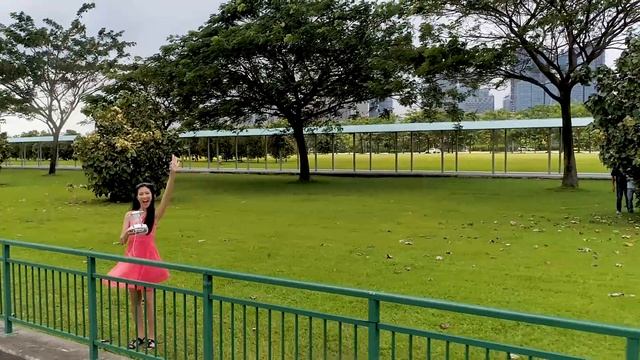 Singapore from above смотреть онлайн