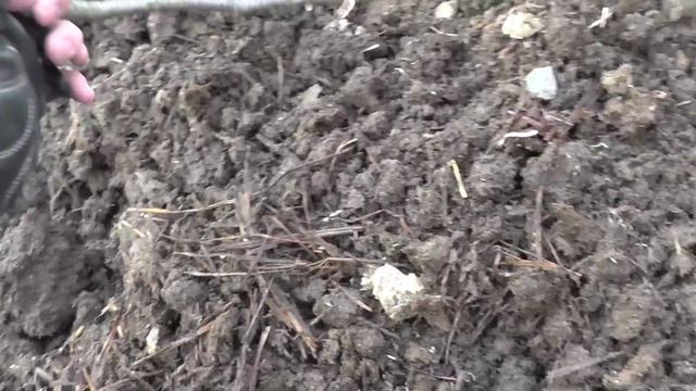 перегной на основе конского навоза