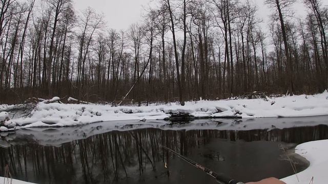 Забрался в дебри за щукой! Рыбалка весной на малой реке!#рыбалка #клюет #щука #спиннинг