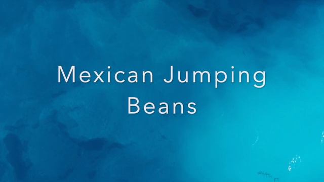 Piano Adventures Book Level 1 - Firefly, Mexican Jumping Beans & The Haunted Mouse | MJB Uni Star смотреть онлайн