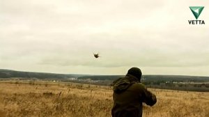 Русский охотничий спаниель