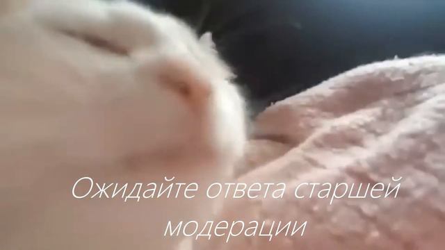 Вопросов нет смотреть онлайн