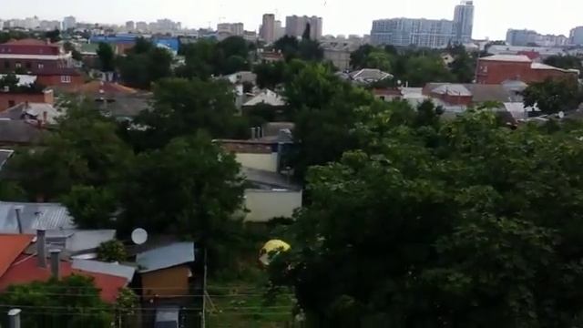 Стриж покидает родительское гнездо смотреть онлайн