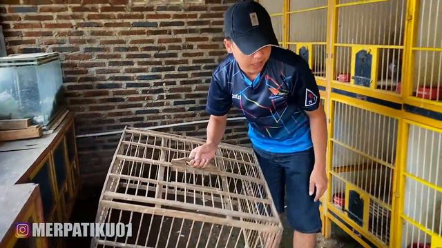 WOW!! BANDANGAN DOBEL RING MASEHH смотреть онлайн