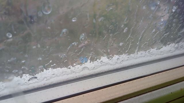 На в нашем городе природа отдыхает. смотреть онлайн