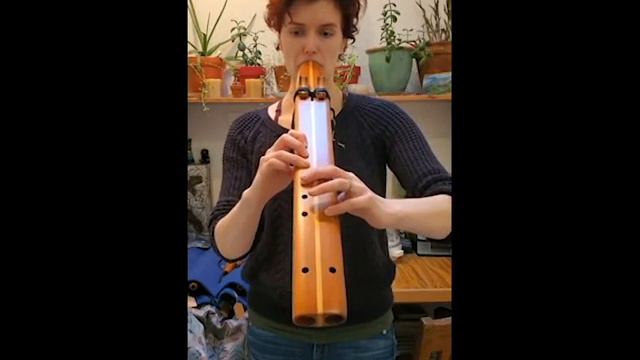 Native American Style Drone Flute , Double Flute | Key of F# | смотреть онлайн
