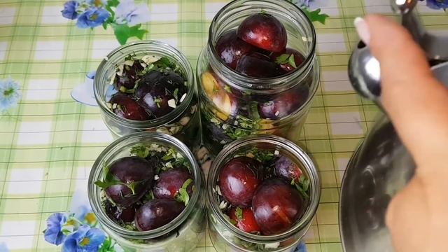 Шоу и Концерты