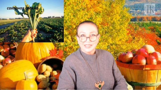 Студентка дала жару замминистра № 2584 смотреть онлайн