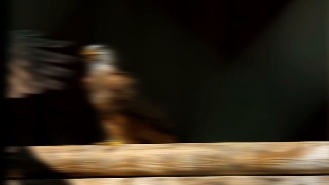 Полет Души ️автор ,🎬монтаж🎶озвучка, Нина Моисеева смотреть онлайн