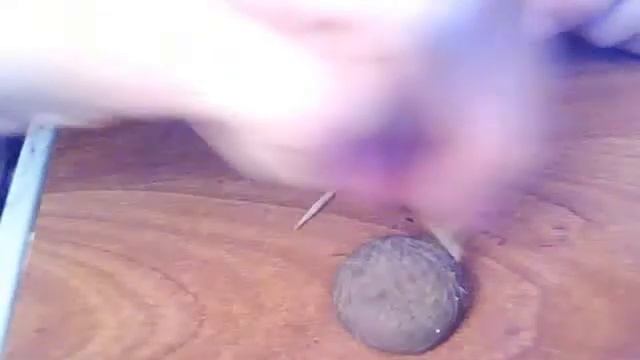 Видео с веб-камеры пользователя 383ksusha от 15 Март 2012 г. 07:51 (PDT) смотреть онлайн