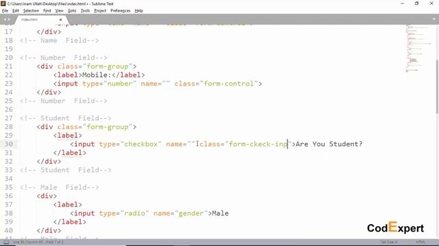 17 Forms in Bootstrap 4 in Urdu/Hindi смотреть онлайн