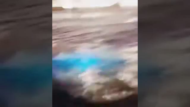 These group of lads is surfing on a beach with bioluminescent algae смотреть онлайн