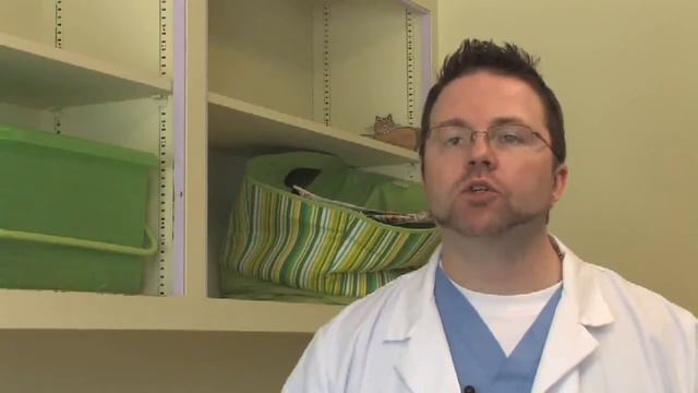 How to Diagnose a Coughing Dog. Respiratory Infections Kennel Cough again? смотреть онлайн