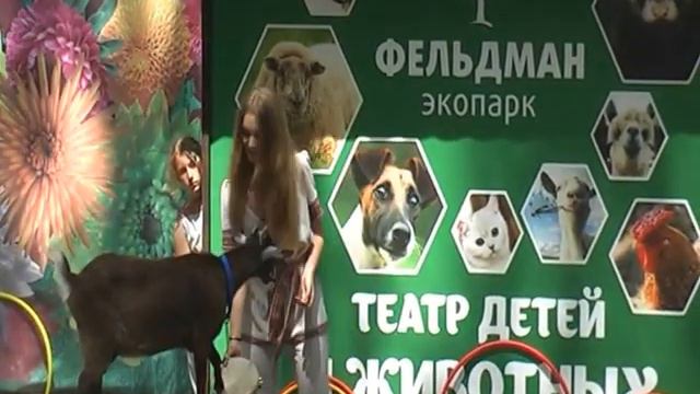 Vlog #МарьянаС, театр детей и животных.Theatre of children and animals смотреть онлайн
