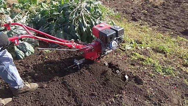 Мотоблок Брайт br-105 13 л.с. осеняя вспашка смотреть онлайн