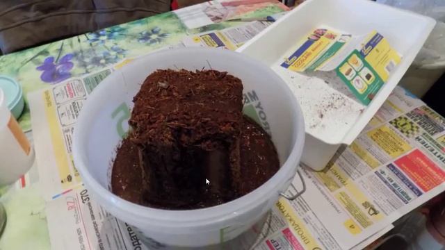 кокосовый субстрат cocoland 7 л смотреть онлайн