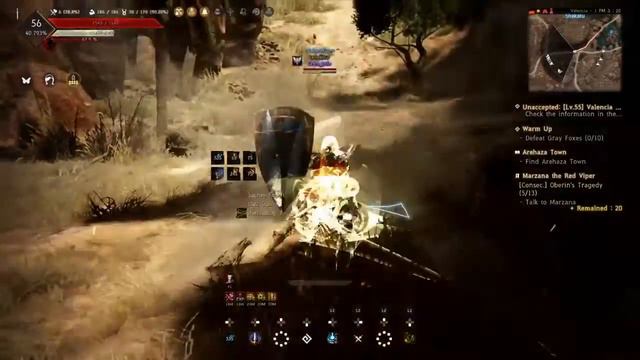 Black desert Valkyrie смотреть онлайн