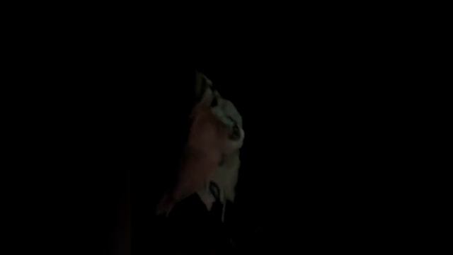 что делать если ваш брат старший слушоет музыку смотреть онлайн