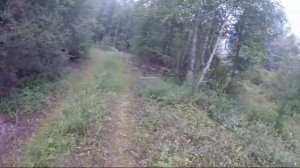 поймал 28го волка 10 августа 2021. Охота на волка в Бурятии