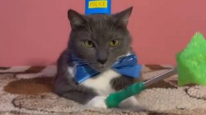 ШКОЛЬНЫЙ ХУЛИГАН →
@kotynet →