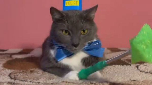 ШКОЛЬНЫЙ ХУЛИГАН →
@kotynet →