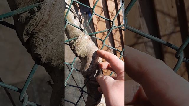 Против всех законов Природы,смотреть всем. смотреть онлайн