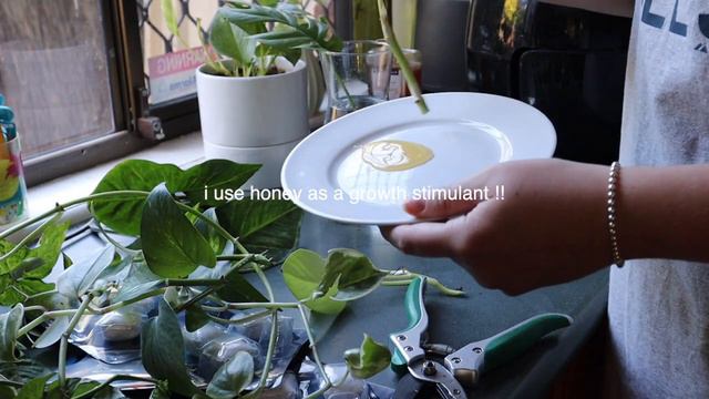 a weekend of healing, growth and grounding 😌 RESET, SELF DEVELOPMENT + PLANT UPDATE! смотреть онлайн